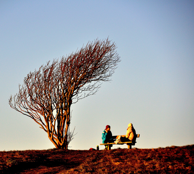 People sitting on a bench in the sun